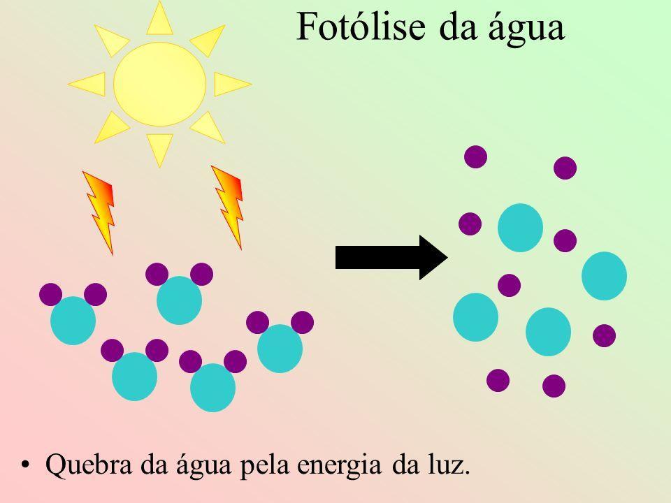 ENERGIA POTENCIAL QUÍMICA Está presente em tudo a