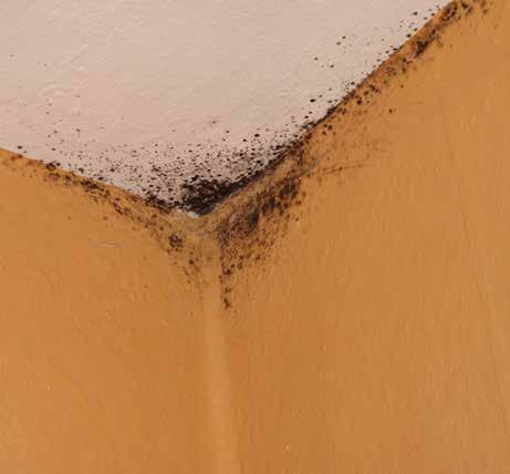 Destacamento dos revestimentos Destacamento do estuque ou reboco Fissuras E devem-se geralmente a: Infiltrações Condensações Fissuras Má