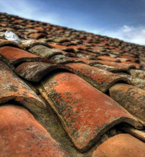 estas estruturas. A reabilitação de telhados depende da origem das anomalias e do acabamento que se pretende.