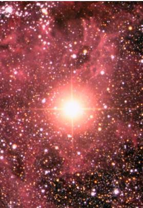 166 6.5. Supernova Observe a estrela indicada pela seta na Figura 6.
