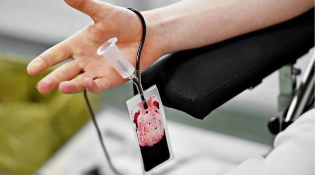 Transfusão de sangue: 3% dos doadores na