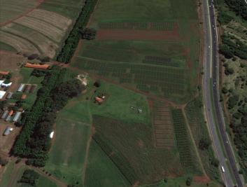 Proximidade de fundo de vale e corpo hídrico: 50m.Altitude: 590m. PR Paisagem levemente arborizada, com vegetação rasteira e arbustiva.