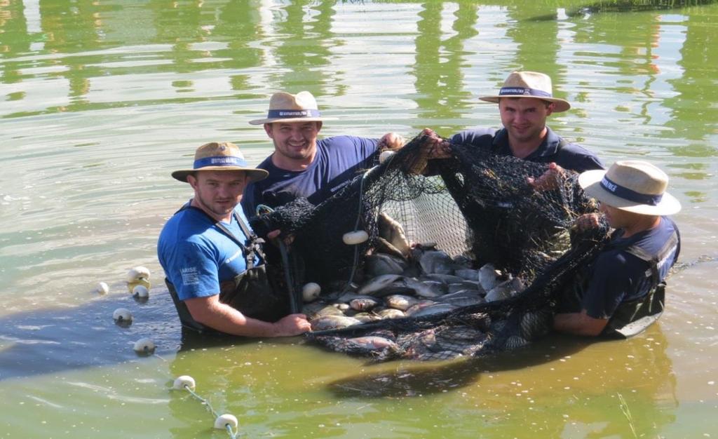 240 Licenciamento ambiental 385 nº de viveiros Construção e reforma de viveiros 812 Tabela 25 - Pesca Artesanal Famílias assistidas