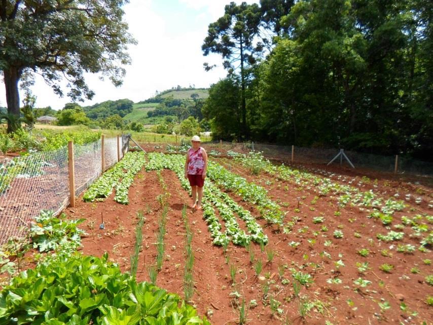 35 FOMENTO A INCLUSÃO SOCIAL E PRODUTIVA Tabela 34 - Fomento à Inclusão Social e Produtiva Famílias a serem assistidas Discriminação Unidade de Medida Quantidade 19.