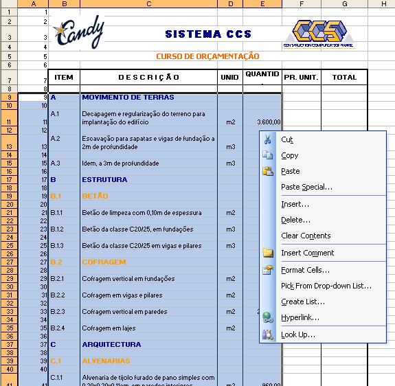 Realizar os procedimentos descritos