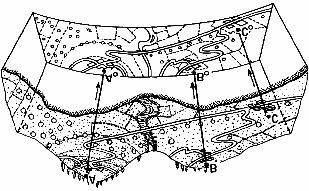 A figura abaixo (ESPARTEL, 1987) representa exatamente a relação da superfície terrestre e de sua projeção sobre o papel. SUPERFÍCIE TOPOGRÁFICA - PLANTA TOPOGRÁFICA 1.3.