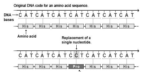 7. A figura seguinte representa uma alteração verificada num segmento de DNA e resultado dessa alteração na síntese da proteína correspondente. 7.1. Como se classifica a mutação representada? 7.2.