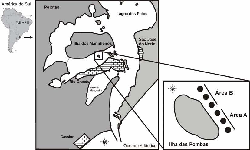 FIGURAS Figura 01. Mapa da região estuarina da Lagoa dos Patos, com detalhe para as áreas amostrais.