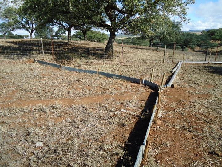 textura franco-argilosa, com alguns elementos grosseiros (saibro e cascalho); prismática grosseira e