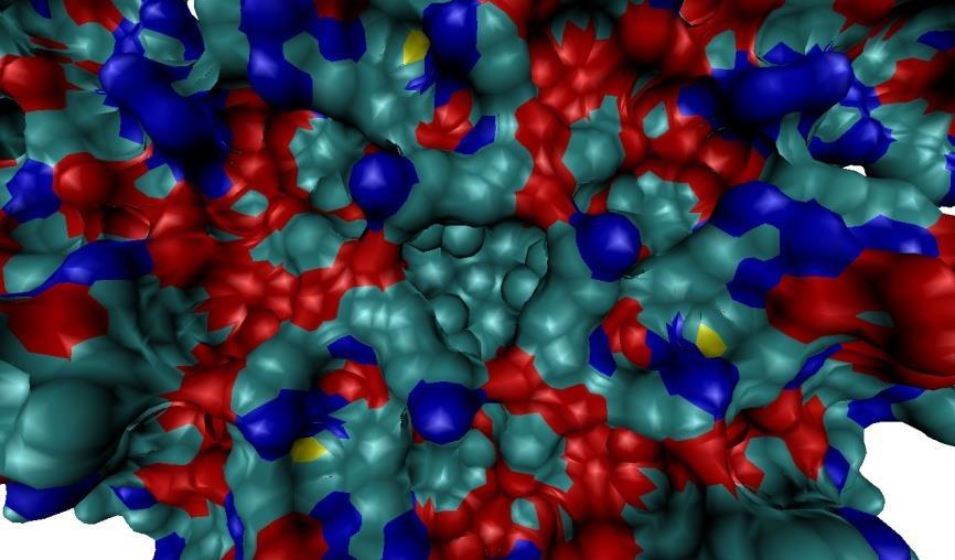 De forma inversa, temos uma tendência estatística de encontrarmos resíduos hidrofóbicos enterrados na proteína.