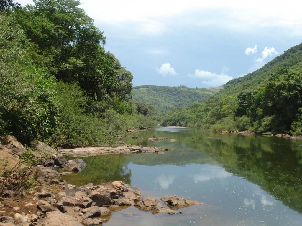 Rio Guaporé: