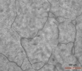 O tamanho de grão austenítico médio encontrado nas amostras de tarugo através dos ensaios de Laboratório foi de 87,5 μm, que é bem próximo do valor de 100 μm adotado por alguns autores no modelamento