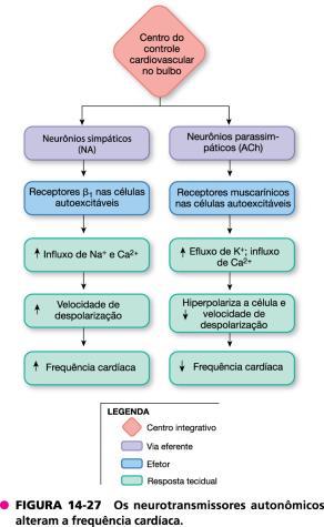 ARTERIAL