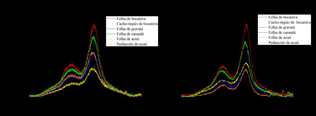 Figura 2 Fotomicrografias de MEV das fibras nativas do pantanal antes e após processo de branqueamento. Na Fig.