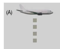 2) Um avião sobrevoa, com velocidade constante, uma área devastada, no sentido sul-norte, em relação a um