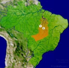 Seus principais rios são o Tocantins e o Araguaia.