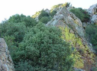 SÍNTESE DOS VALORES PRESENTES NA ÁREA CLASSIFICADA DAS PORTAS DE RÓDÃO: Geológicos e geomorfológicos: A formação geológica das Portas de Ródão (geomonumento).