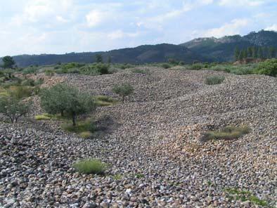 ÁREA ARQUEOLÓGICA DO CONHAL A Área Arqueológica do Conhal ou Conhal do Arneiro situa-se a norte da freguesia de Santana, Nisa, ocupando mais de 90 hectares delimitados pelo ribeiro do Arneiro, pela