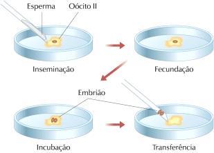 Manipulação da fertilidade Reprodução tecnicamente assistida