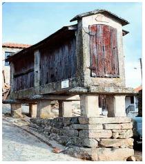 35. Os espigueiros são construções que servem para guardar cereais, ao mesmo tempo que os protegem da humidade e dos roedores.