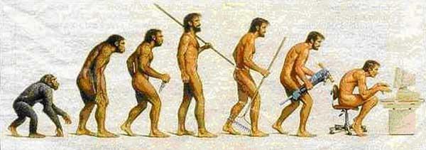 Processo evolutivo - Mutação como fonte de