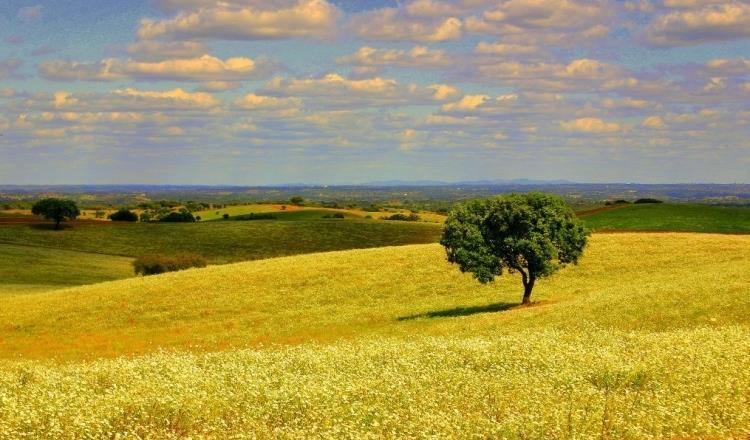 Relembrando conceitos: Planícies: área com pouca variação de