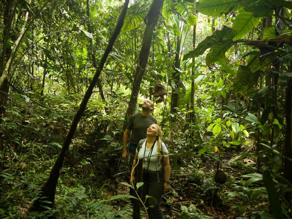 Experiência na Natureza Amazônica Explore as maravilhas naturais da Amazônia, desde a floresta tropical até as cachoeiras, perfeitas para aqueles que querem mergulhar nas profundezas da natureza e