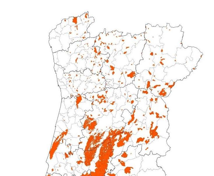 Incêndios Florestais, Pragas e Doenças Ainda não existem dados oficiais para as áreas ardidas por espécie florestal, mas dada a localização dos incêndios florestais, maioritariamente concentrados