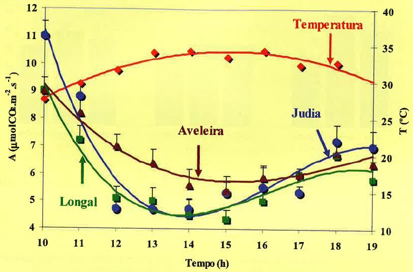 Contexto geral: caracter relativo do conceito de produtividade em função da sua variação com as condições ambientais: temperatura do ar Estudos realizados no terreno em três concelhos de TM (Laranjo