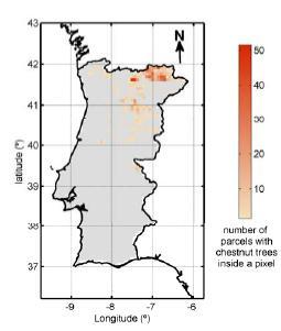 Em Portugal Continental, 86% da quadrículas digitais de altitude, de 8x8km, onde o castanheiro predomina, está localizada entre 500 e 1000m de altitude; O estrato entre 500 e 1000 m é pois aquele em
