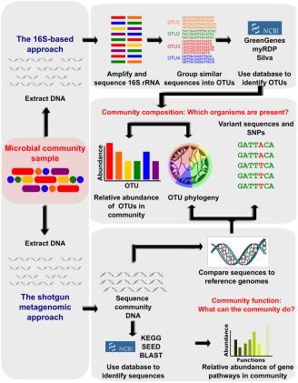 O avanço da tecnologia de sequenciamento de DNA permite o uso rotineiro de sequências genômicas nos vários campos da microbiologia.