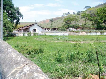 café, existindo também