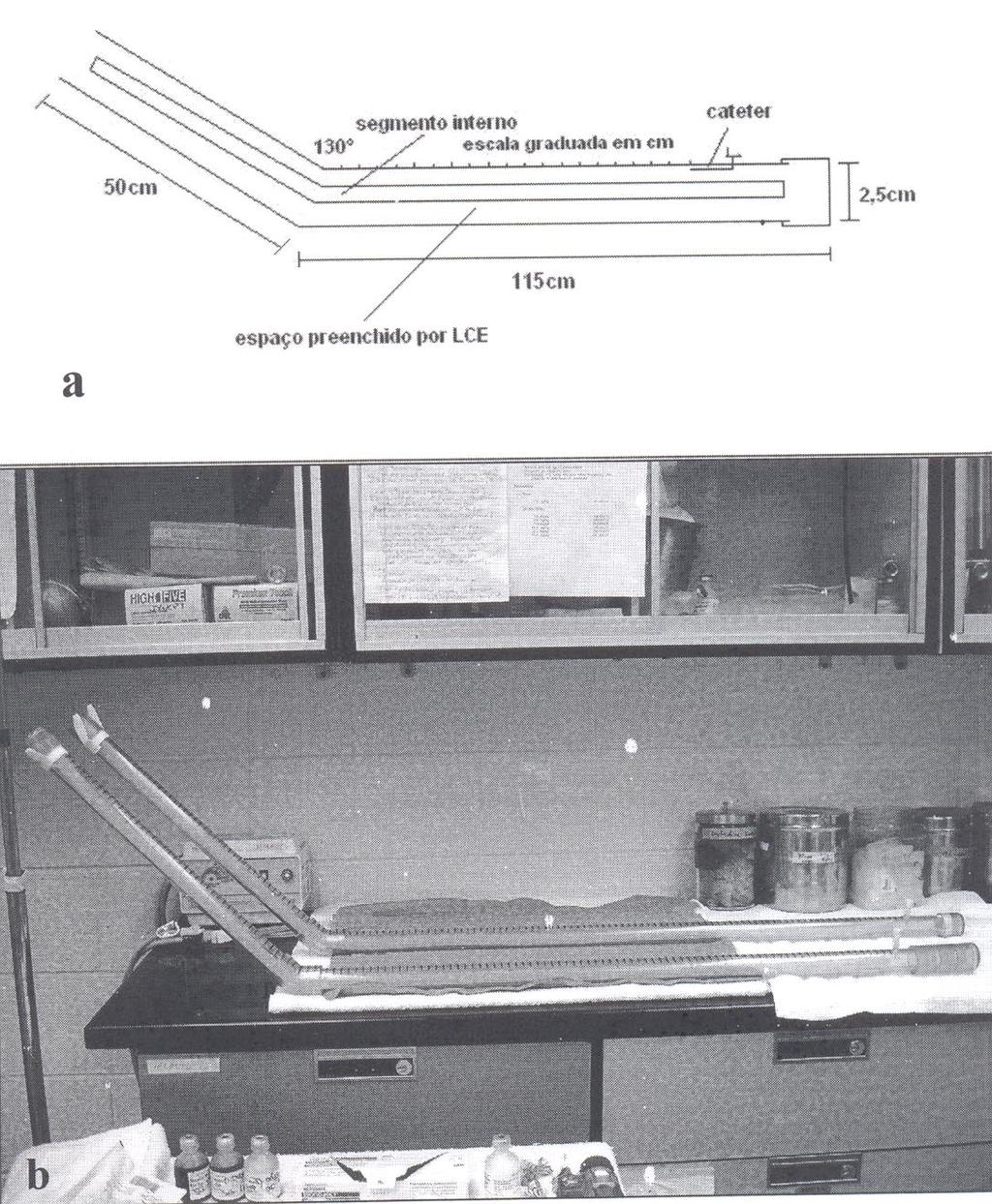 386 Polydoro et al. Figura 1 - Desenho esquemático (a) e imagem (b) representativos do modelo experimental subaracnóide eqüino proposto para avaliação de opióides hiperbáricos.