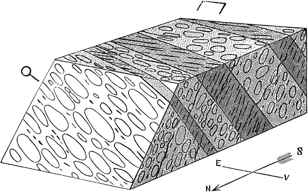 Strain 3D