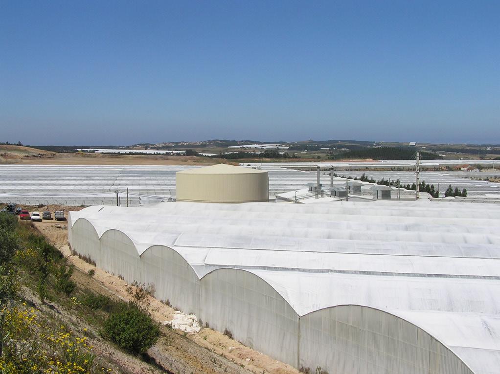 desempenho da instalação Projecto de ligação à