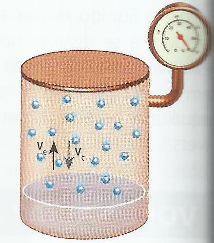 Pressão máxima de vapor Quando as velocidades de evaporação (Ve) e de condensação (Vc) se igualam, a pressão máxima de vapor é atingida.