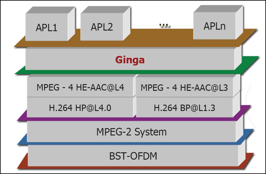 Com relação ao middleware padrão, a solução adotada no Brasil, denominada Ginga, é um produto de tecnologia nacional, sendo composto por um ambiente procedural, denominado Ginga-J, e um módulo
