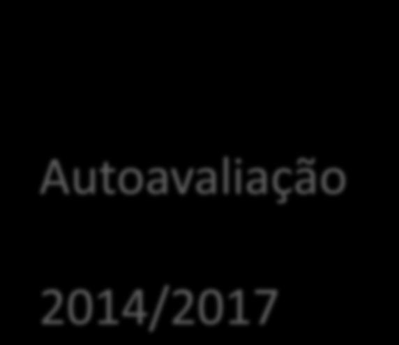 autoavaliação do