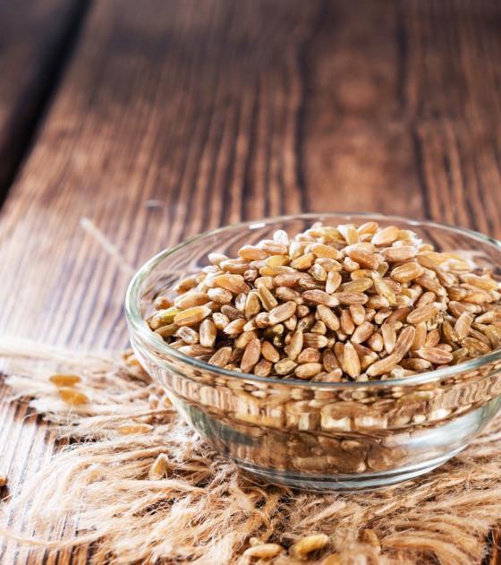 SEMENTES DE MUDANÇA Os consumidores estão muito interessados em sementes exóticas, como a chia e a quinoa, que fomentaram a utilização das sementes em geral.
