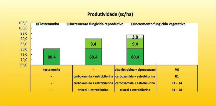 de forma correta. A associação com fungicidas multissítio ou reforços de outros grupos químicos é necessária para preservar essas ferramentas para as próximas safras.