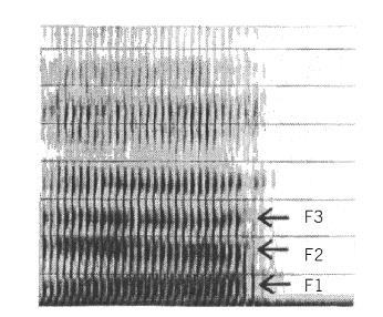 Formantes Característica das vogais Faixa de frequência amplificada pelo