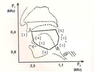 Representação acústico-articulatória das vogais com