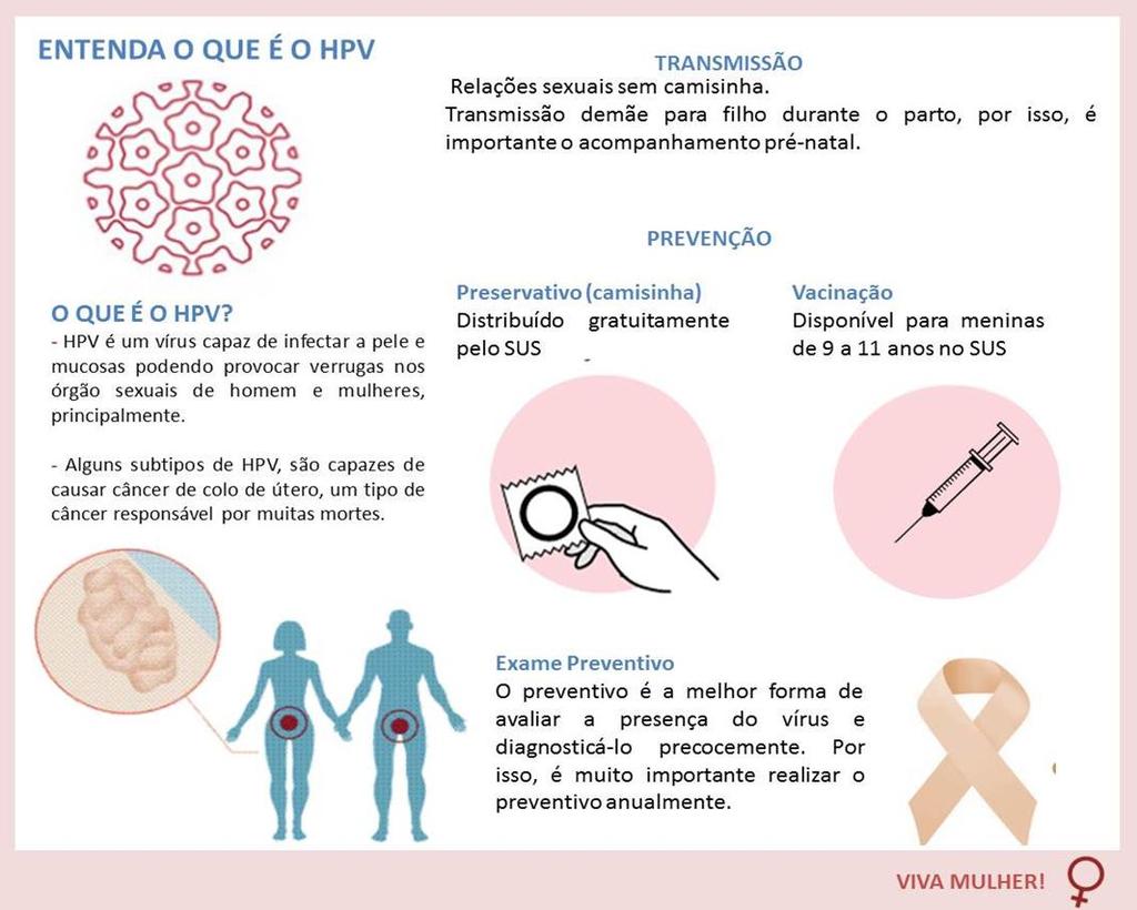 73 Anexo 2 - Folheto Explicativo