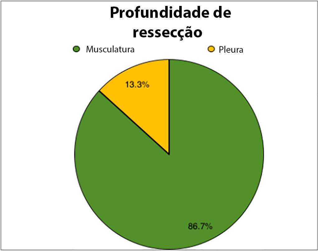 Gráfico de setor circular demonstrando distribuição percentual das complicações locais detectadas no seguimento de 6 meses das pacientes submetidas a ressecções