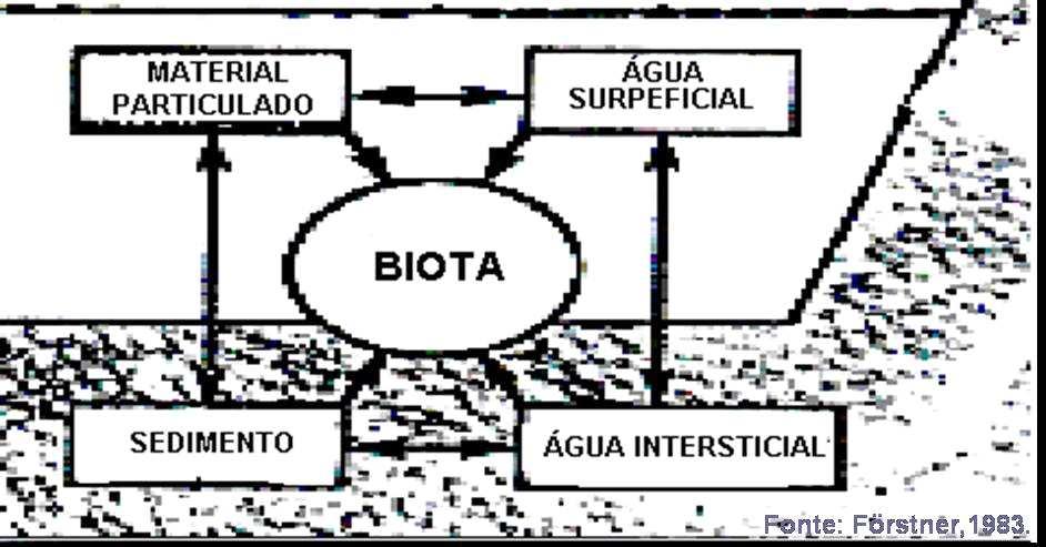 Compartimentos abióticos a b d c a: adsorção/desorção e co-precipitação b: