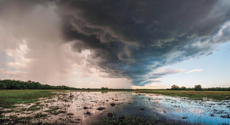 Jorge Diehl Panorâmica com nuvens carregadas feita no Pantanal Sul, na região de Aquidauana (MS), pelo leitor Jorge Diehl Dicas para boas fotos em dias de chuva Tempo chuvoso não é motivo para