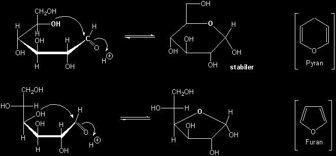 origina formas cíclicas diferentes de moléculas