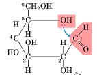 Moléculas com o carbono anomérico livre (forma aberta) apresentam poder redutor (em meio alcalino a quente) sobre o íons de
