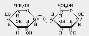 O carbono anomérico que participa de uma ligação glicosídica perde a capacidade de existir na forma linear e portanto não tem mais capacidade