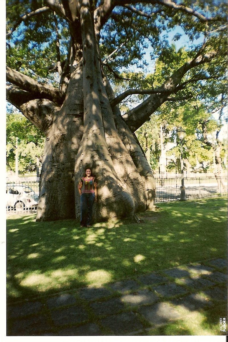 Quando olhamos para a beleza da natureza, compreendemos o quanto ela revela a grandeza de seu autor.